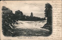 Bishop's Falls, Brodhead, NY New York Postcard Postcard Postcard