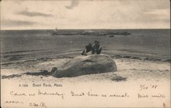 Brant Rock, Mass. Couple and Dog on Beach Rock Massachusetts Postcard Postcard Postcard