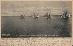 Regatta at Claibourne, Near Easton, MD Postcard