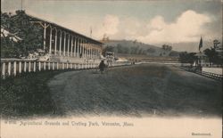 Agricultural Grounds and Trotting Park, Worcester, MA Postcard