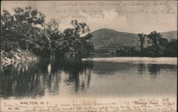 Shadow Pond, Walton, NY New York Postcard Postcard Postcard