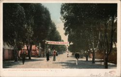 The Canvas City, Avalon, Santa Catalina Island Postcard