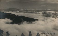 Above the Clouds, Mt Wilson, Calif Mount Wilson, CA Postcard Postcard Postcard