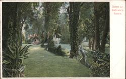 Scene at Baldwin's Ranch Los Angeles, CA Postcard Postcard Postcard