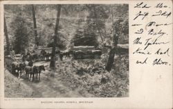 Hauling Grapes, Howell Mountain Angwin, CA Postcard Postcard Postcard