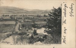 Bird's-Eye View of St. Helena, CA Saint Helena, CA Postcard Postcard Postcard