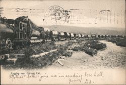 Logging Train near Eureka, California Postcard Postcard Postcard