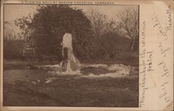 A Flowing Well at Beaver Crossing, Nebraska Postcard Postcard Postcard