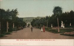 Palm Avenue, Sutro Heights, San Francisco California Postcard Postcard Postcard