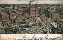 Anheuser-Busch Plant, St. Louis Postcard