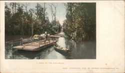 A Ferry on the Ocklawaha Postcard