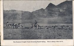 Dawson Freight Train Crossing Death Valley Death Valley National Park Postcard Postcard Postcard