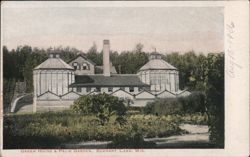 Green House & Palm Garden, Elkhart Lake, WI Wisconsin Postcard Postcard Postcard