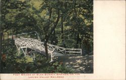 Foot Bridge at Glen Summit Springs, Lehigh Valley Railroad Postcard