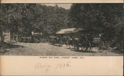 Where We Dine... Forest Home, CA California Postcard Postcard Postcard