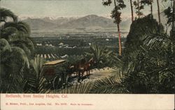 Redlands, from Smiley Heights California Postcard Postcard Postcard