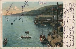 Water Front, showing Yachts at Anchor, Sausalito, CA California Postcard Postcard Postcard