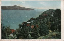 San Francisco Bay from Belvedere, Marin County California Postcard Postcard Postcard