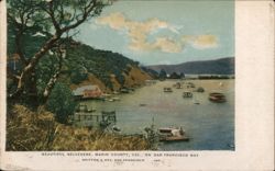 Beautiful Belvedere, Marin County, Cal., on San Francisco Bay Postcard