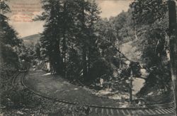 Crossing Redwood Canyon on Mt. Tamalpais Scenic Railway Mill Valley, CA Postcard Postcard Postcard