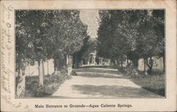 Main Entrance to Grounds - Agua Caliente Springs California Postcard Postcard Postcard