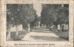 Main Entrance to Grounds - Agua Caliente Springs California Postcard Postcard Postcard