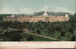 Museum, Stanford University Postcard