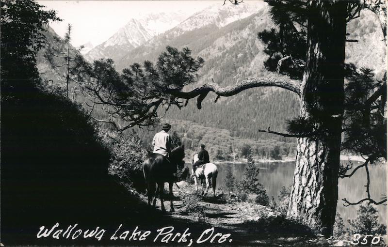 Wallowa Lake Park Joseph, OR Postcard