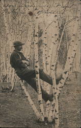 Man Comfortably Propped Up In Birch Trees Men Postcard Postcard Postcard