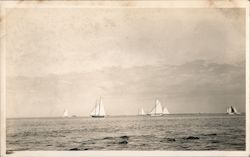 Numerous Sailboats on Calm Seas Postcard