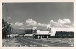 Kamehameha Avenue Postcard