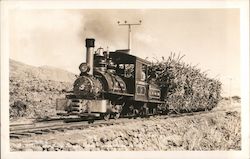 Train Hauling Sugar Cane Postcard