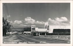 Kamehama Avenue Hilo, HI Postcard Postcard Postcard