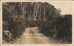 Road Leading to Volcano Postcard