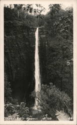 Akaka Falls Postcard