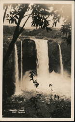 Rainbow Falls Postcard