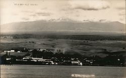 Hilo Bay Hawaii Postcard Postcard Postcard