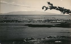 Panoramic View of Hilo Bay - Hilo, Hawaii Postcard