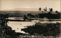 Mauna Kea Mountain Hilo, HI Postcard Postcard Postcard