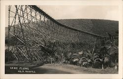 Cane Flume Postcard