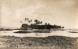 Moku Ola - "Coconut Island" - Hilo, Hawaii Postcard