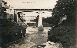 Walking Bridge Postcard