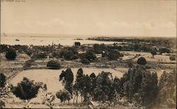 Hilo Harbor Postcard