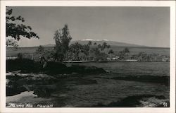 Mauna Kea Hilo, HI Postcard Postcard Postcard