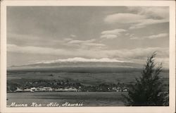 Mauna Kea Postcard