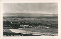 Panorama of the City Postcard