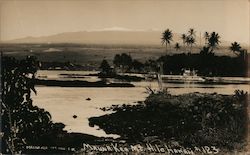 Mauna Kea Mountain Hilo, HI Postcard Postcard Postcard