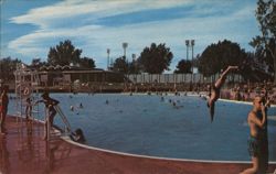 Lethbridge Municipal Swimming Pool Alberta Canada Postcard Postcard Postcard