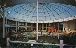 Northampton Hilton Inn, Glass-Domed Pool Massachusetts Postcard Postcard Postcard