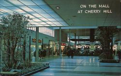 On the Mall at Cherry Hill Shopping Center Postcard